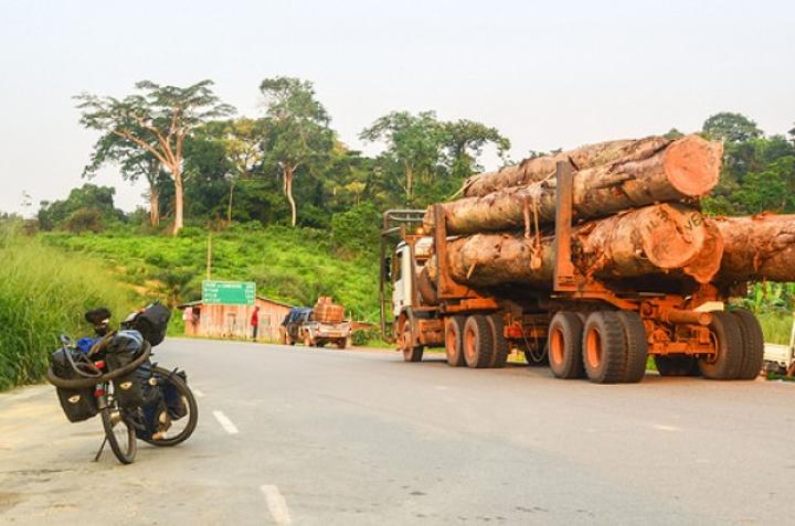 Côte d'Ivoire : Lakota, le chauffeur d'un grumier, perd le contrôle de son camion et l'engin fini sa course dans une habitation Côte d'Ivoire : Lakota, le chauffeur d'un grumier, perd le contrôle de son camion et l'engin fini sa course dans une habitation