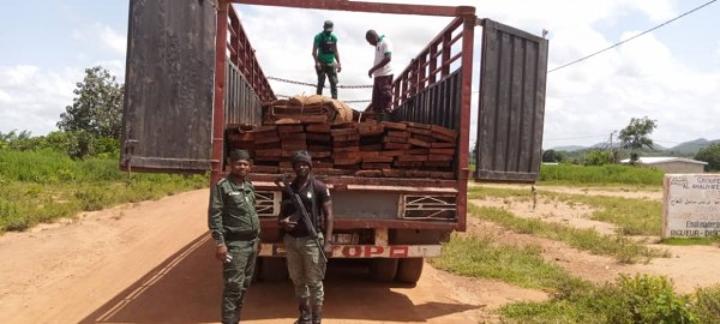 Côte d'Ivoire : Exploitation forestière au-dessus du 8e Parallèle, la SODEFOR met fin aux pratiques d'un réseau de fossoyeurs, qui se cache derrière ces agissements à répétition ? Côte d'Ivoire : Exploitation forestière au-dessus du 8e Parallèle, la SODEFOR met fin aux pratiques d'un réseau de fossoyeurs, qui se cache derrière ces agissements à répétition ?