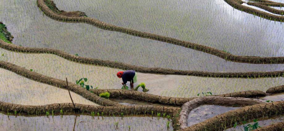 Inter/ L’ONU demande de réaffecter 470 milliards de dollars de subventions agricoles nuisibles sur le plan environnemental et social Inter/ L’ONU demande de réaffecter 470 milliards de dollars de subventions agricoles nuisibles sur le plan environnemental et social