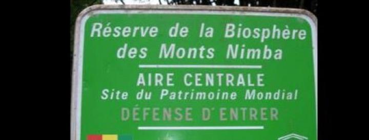 Côte d'Ivoire : Danané, conservation de la Réserve Naturelle Intégrale du Mont Nimba, les animaux recolonisent la partie ivoirienne Côte d'Ivoire : Danané, conservation de la Réserve Naturelle Intégrale du Mont Nimba, les animaux recolonisent la partie ivoirienne