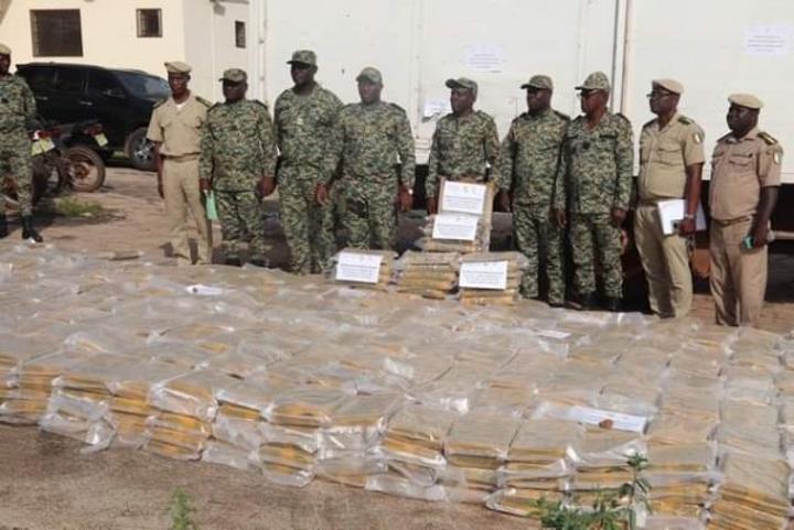Côte d'Ivoire : Près de 3 tonnes de cannabis dissimulées dans un camion interceptées à la frontière du Ghana