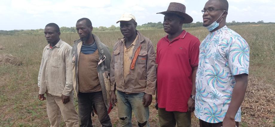 Un responsable du ministère de l’Agriculture se félicite du succès de la phase pilote du projet soja à Touba Un responsable du ministère de l’Agriculture se félicite du succès de la phase pilote du projet soja à Touba