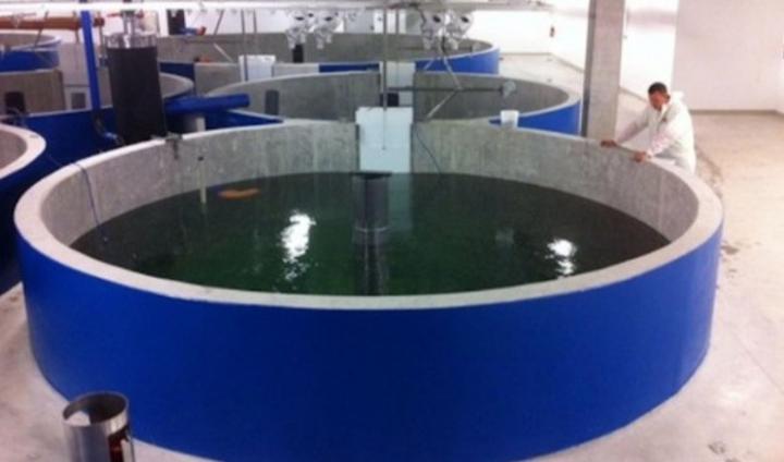 La mise en œuvre de la PONADEPA 2022-2026 évaluée à 1 049,443 milliards de FCFA, une production d'environ 500 mille tonnes de poissons à l'horizon 2030 grâce au PSTACI La mise en œuvre de la PONADEPA 2022-2026 évaluée à 1 049,443 milliards de FCFA, une production d'environ 500 mille tonnes de poissons à l'horizon 2030 grâce au PSTACI