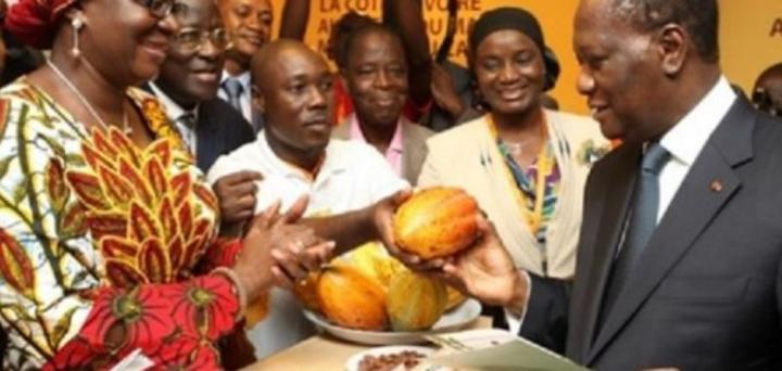 Affaire Cacao ivoirien issu de la déforestation, Ouattara assène : « Si les Européens ne veulent pas acheter notre cacao, il y en a d'autres qui vont l'acheter » Affaire Cacao ivoirien issu de la déforestation, Ouattara assène : « Si les Européens ne veulent pas acheter notre cacao, il y en a d'autres qui vont l'acheter »
