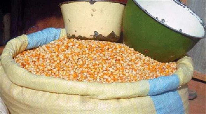 Rendement Du Piment à L Hectare En Cote D Ivoire