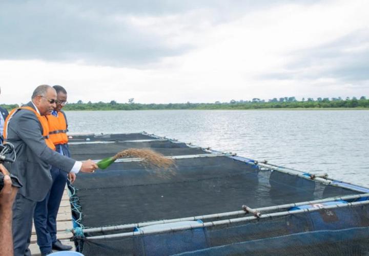 Patrick Achi lance le PSTACI à la Station piscicole de la Loka d'une capacité de production de 500 mille tonnes de poissons en 5 ans Patrick Achi lance le PSTACI à la Station piscicole de la Loka d'une capacité de production de 500 mille tonnes de poissons en 5 ans