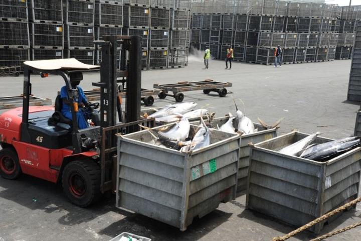 Un « cartel » ne respecterait pas le prix du plafonnement du « faux thon », vers la paralysie du port d'Abidjan ? Un « cartel » ne respecterait pas le prix du plafonnement du « faux thon », vers la paralysie du port d'Abidjan ?