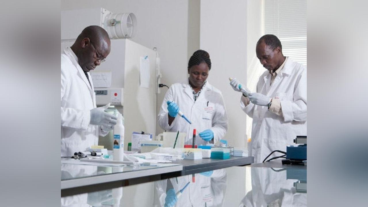 Un 1er médicament de qualité fabriqué en Afrique pour prévenir le palu chez la femme et le nourrisson approuvé par l’OMS Un 1er médicament de qualité fabriqué en Afrique pour prévenir le palu chez la femme et le nourrisson approuvé par l’OMS