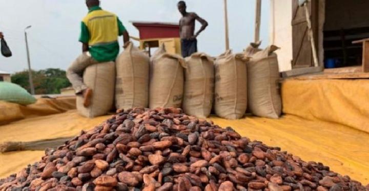 Café-Cacao, voici la répartition des 17 milliards de FCFA du fonds Covid à l'origine de la grève illimitée des producteurs Café-Cacao, voici la répartition des 17 milliards de FCFA du fonds Covid à l'origine de la grève illimitée des producteurs