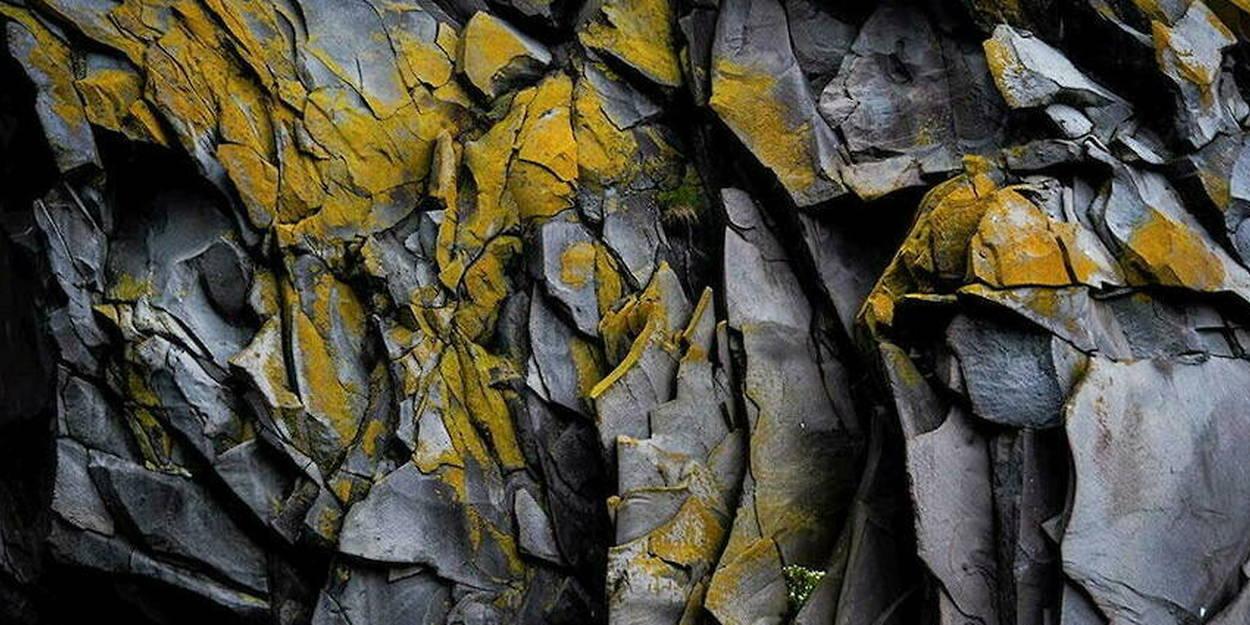 Algérie : quelle place sur le marché des terres et des métaux rares ? Algérie : quelle place sur le marché des terres et des métaux rares ?