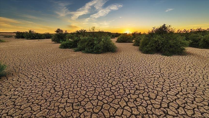 L'Afrique discute de la crise climatique « qui affecte le sort du continent » L'Afrique discute de la crise climatique « qui affecte le sort du continent »