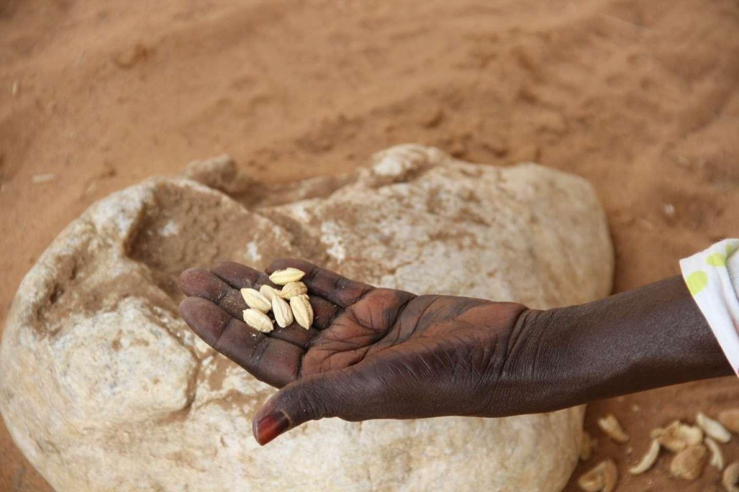 Comment réussir à nourrir l’Afrique Comment réussir à nourrir l’Afrique