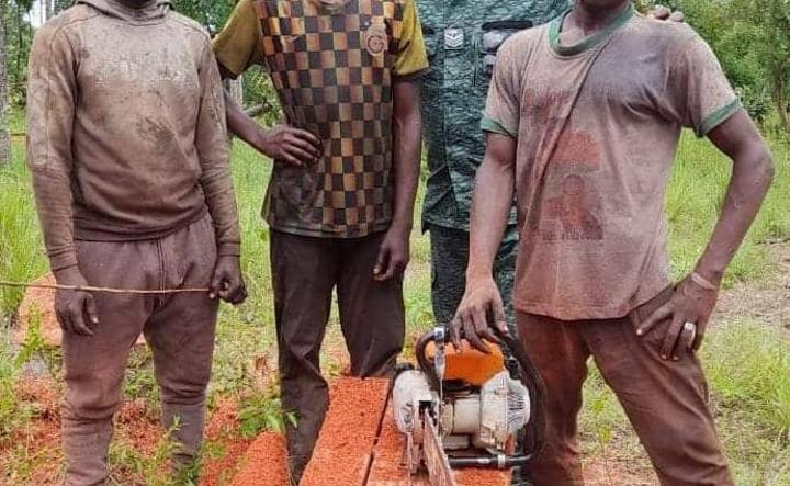 Deux scieurs clandestins écopent de huit mois de prison et quatre millions de Fcfa d’amende à Katiola Deux scieurs clandestins écopent de huit mois de prison et quatre millions de Fcfa d’amende à Katiola
