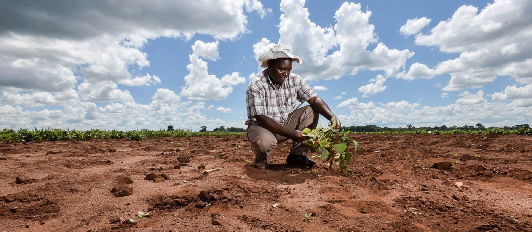 L'Afrique fait face à une crise du financement en matière d'adaptation au climat, révèle un rapport L'Afrique fait face à une crise du financement en matière d'adaptation au climat, révèle un rapport