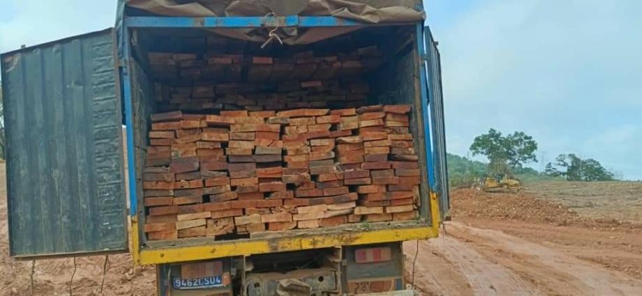 Cinq individus interpellés et un chargement de 1500 madriers saisi par la SODEFOR sur l’axe Bouaké-Satama Sokoura Cinq individus interpellés et un chargement de 1500 madriers saisi par la SODEFOR sur l’axe Bouaké-Satama Sokoura