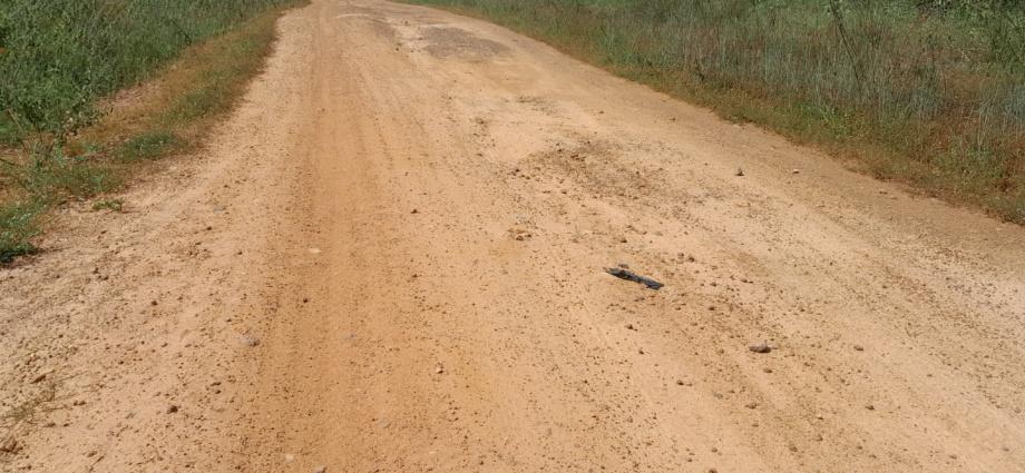 Deux gardes pénitentiaires aux arrêts pour attaque à mains armées à Niakaramadougou Deux gardes pénitentiaires aux arrêts pour attaque à mains armées à Niakaramadougou