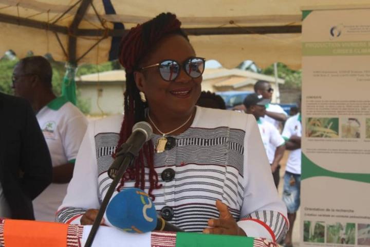 A Sinfra, journée agricole, l'engagement et le dévouement légendaire des femmes dans le développement du vivrier dans la région, salués par la présidente de l'UJLoG A Sinfra, journée agricole, l'engagement et le dévouement légendaire des femmes dans le développement du vivrier dans la région, salués par la présidente de l'UJLoG