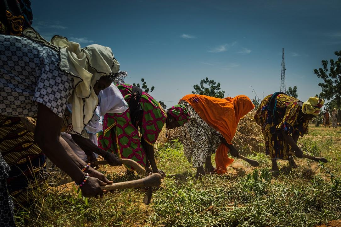 Les États-Unis et l’Europe annoncent 40 millions USD de contributions à l’Initiative d’adaptation pour l’Afrique Les États-Unis et l’Europe annoncent 40 millions USD de contributions à l’Initiative d’adaptation pour l’Afrique
