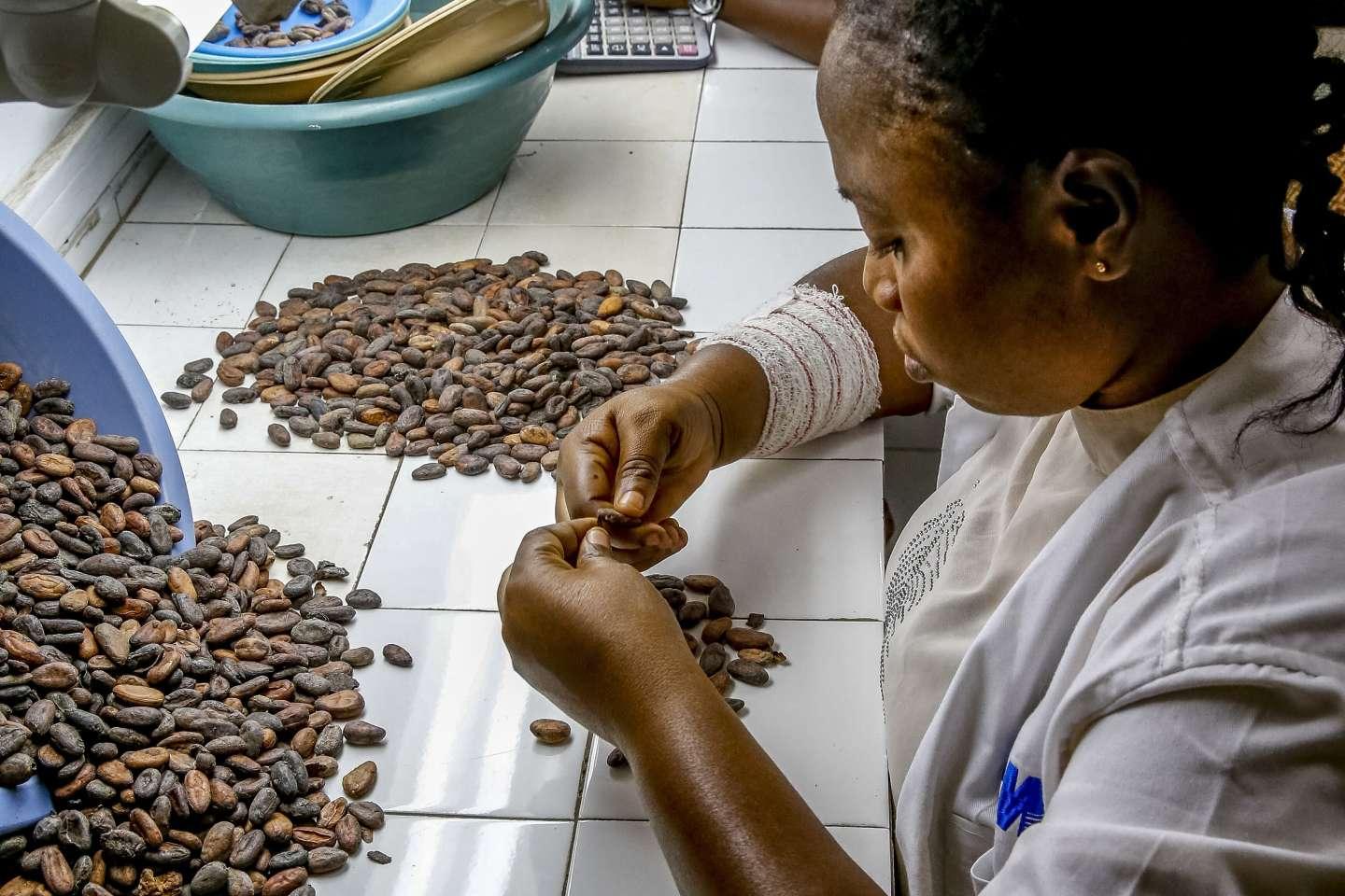 « En Afrique de l’Ouest, le cartel du cacao risque d’échouer à transformer la vie des petits planteurs » « En Afrique de l’Ouest, le cartel du cacao risque d’échouer à transformer la vie des petits planteurs »