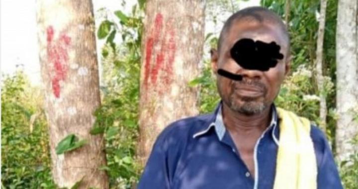 Un individu vend une parcelle de 548 ha dans la forêt classée de Dogodou (Guitry) et écope de quatre mois de prison ferme Un individu vend une parcelle de 548 ha dans la forêt classée de Dogodou (Guitry) et écope de quatre mois de prison ferme