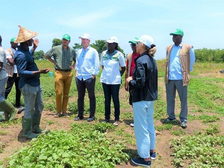 Le partenariat public-privé d’Espagne à la rencontre d’agriculteurs ivoiriens