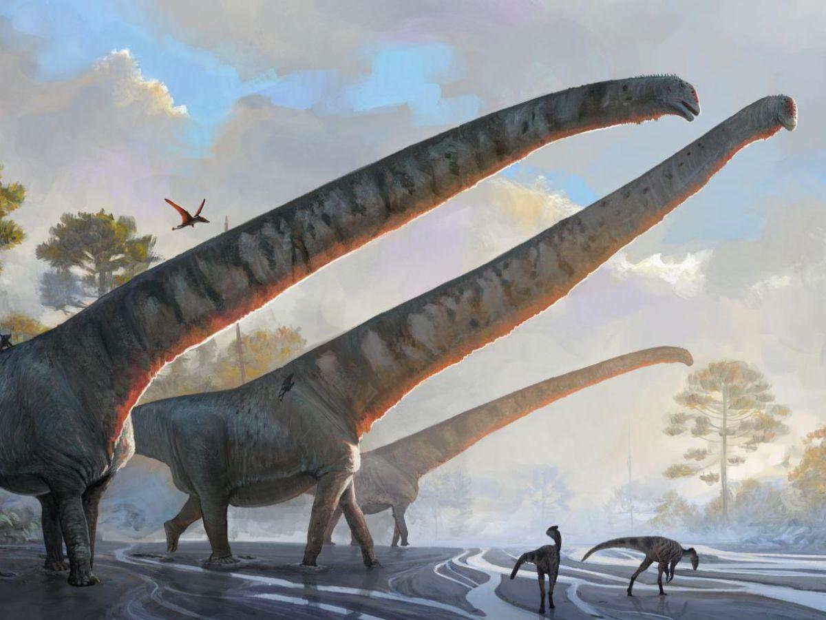 Ce dinosaure avait un cou de 15 mètres de long