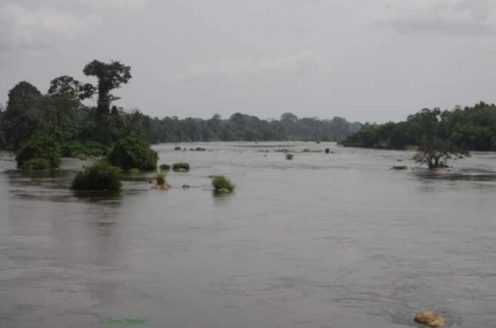 Ayamé, une pirogue chavire avec des écolières coraniques, 7 fillettes décédées par noyade, 3 sauvées de justesse Ayamé, une pirogue chavire avec des écolières coraniques, 7 fillettes décédées par noyade, 3 sauvées de justesse