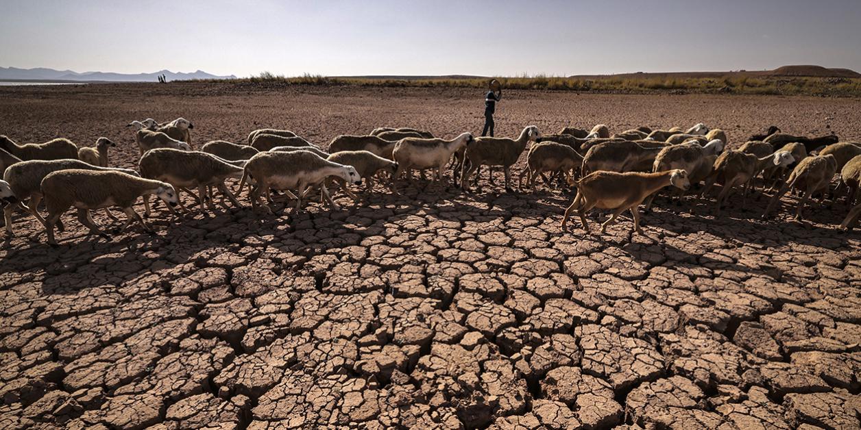 Dette, DTS, adaptation climatique… Pour l’Afrique, l’heure des comptes a sonné Dette, DTS, adaptation climatique… Pour l’Afrique, l’heure des comptes a sonné