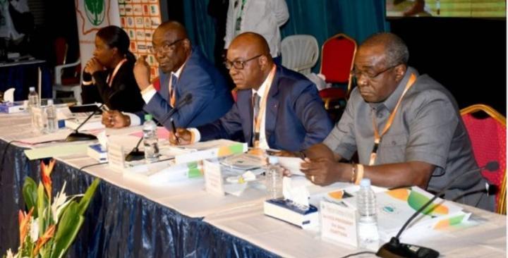 61ème Assemblée Générale Ordinaire de la FIF, les clubs donnent le quitus à Idriss Diallo, Drogba-Yaya-et Gadji Céli élevés au Grades d'Ambassadeurs 61ème Assemblée Générale Ordinaire de la FIF, les clubs donnent le quitus à Idriss Diallo, Drogba-Yaya-et Gadji Céli élevés au Grades d'Ambassadeurs