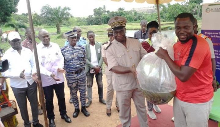 Depuis la Loka, des aquaculteurs du centre se réjouissent de la mise à leur disposition d'alevins de tilapias Depuis la Loka, des aquaculteurs du centre se réjouissent de la mise à leur disposition d'alevins de tilapias