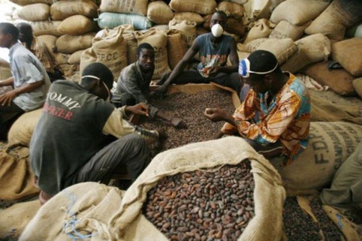 Amélioration du mécanisme de gestion des flux physiques et financiers, adoption d'un système national de traçabilité du café-cacao Amélioration du mécanisme de gestion des flux physiques et financiers, adoption d'un système national de traçabilité du café-cacao