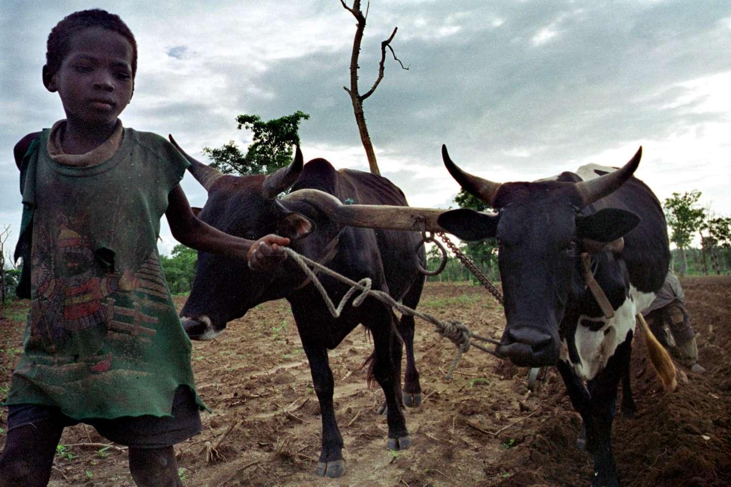 Djihadisme en Côte d’Ivoire : « Le calme relatif sur le plan sécuritaire doit pousser à s’intéresser aux dynamiques invisibles qui sont à l’œuvre » Djihadisme en Côte d’Ivoire : « Le calme relatif sur le plan sécuritaire doit pousser à s’intéresser aux dynamiques invisibles qui sont à l’œuvre »