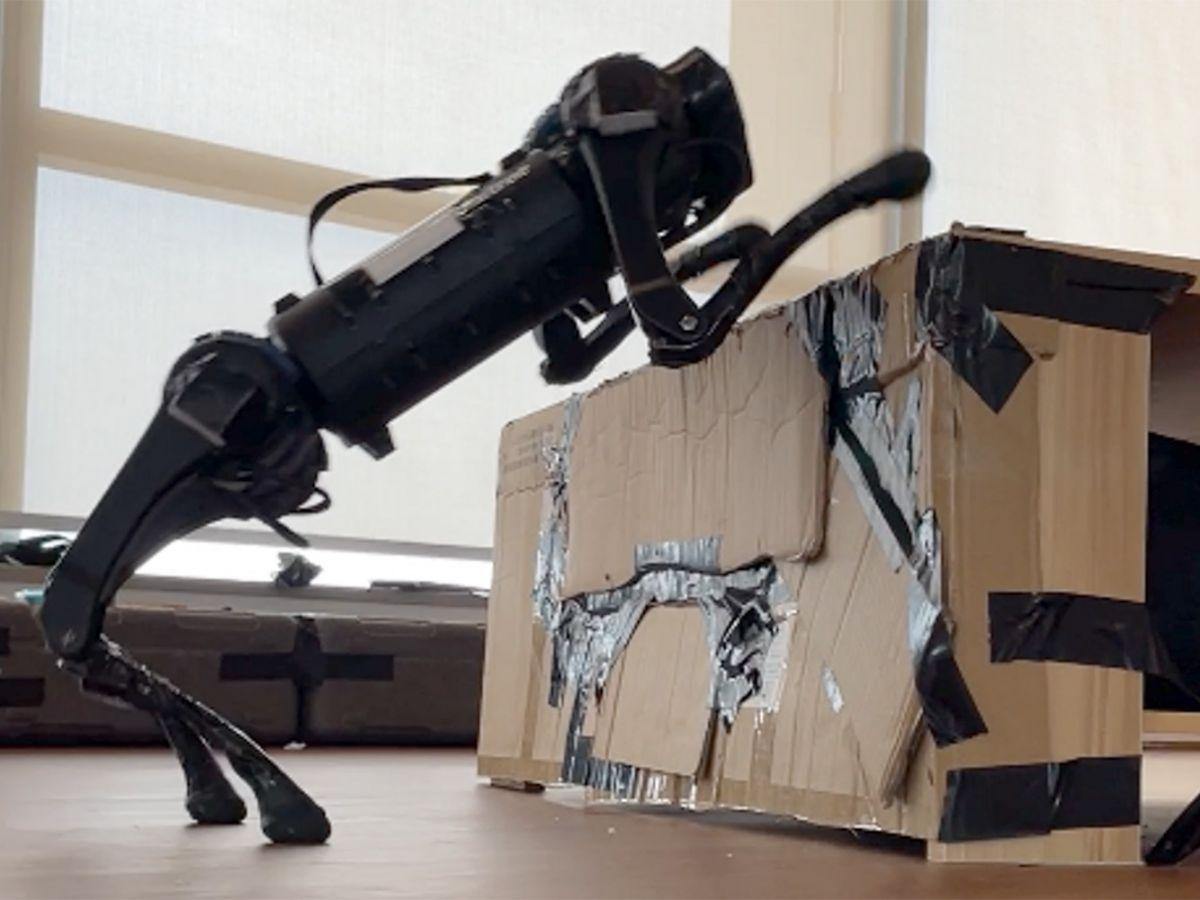 Ce robot quadrupède est un champion de parkour Ce robot quadrupède est un champion de parkour