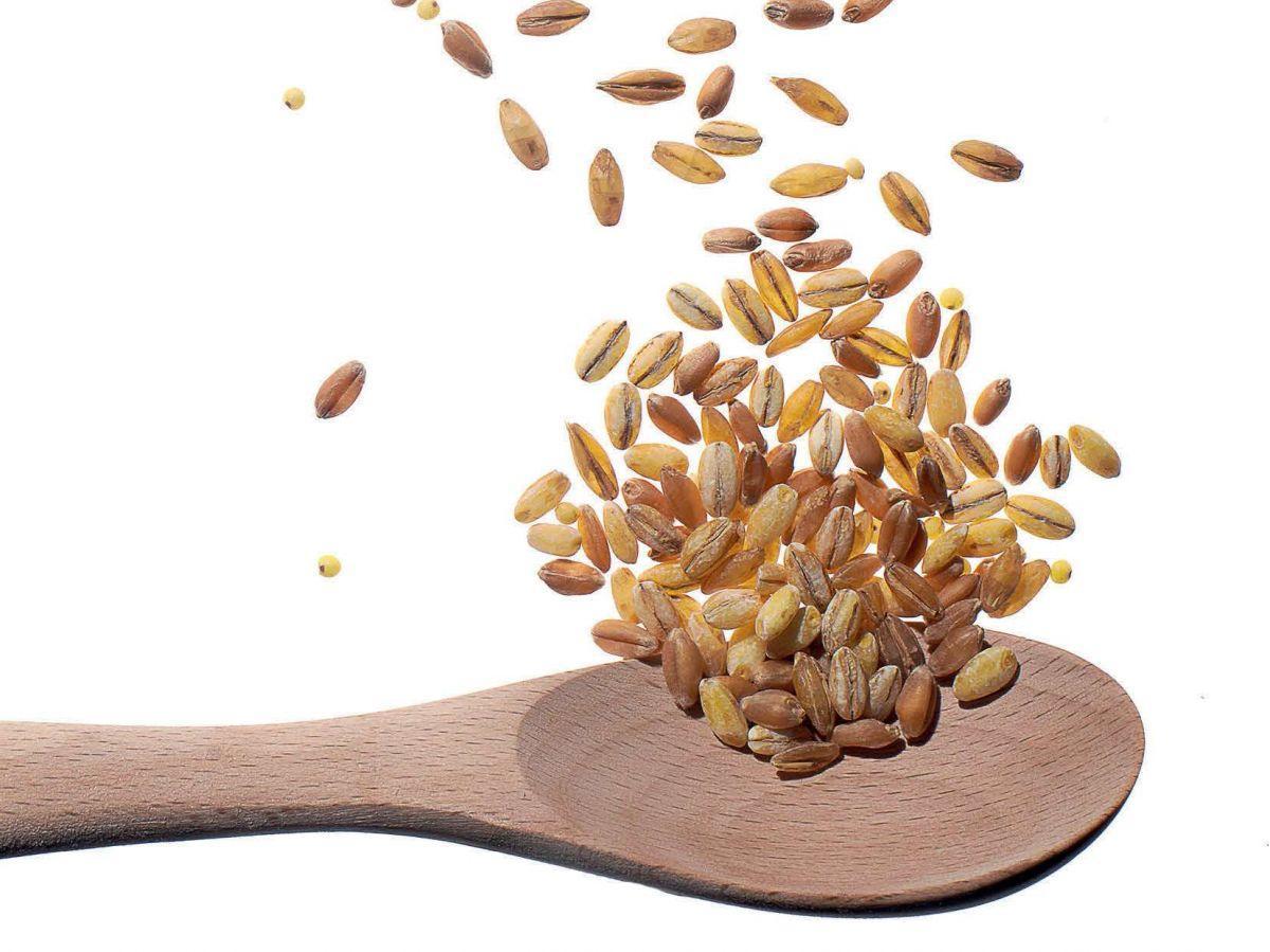 Nutrition : le retour des céréales d'antan Nutrition : le retour des céréales d'antan