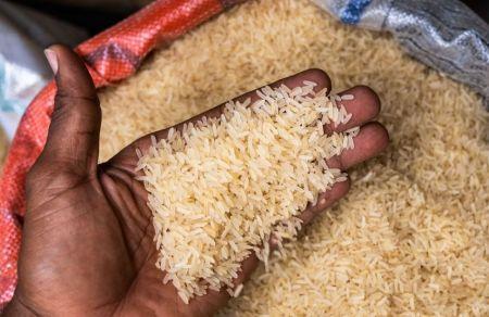 L’Inde autorise la vente de riz blanc non basmati vers le Cameroun, la Guinée, la Côte d’Ivoire et les Seychelles L’Inde autorise la vente de riz blanc non basmati vers le Cameroun, la Guinée, la Côte d’Ivoire et les Seychelles