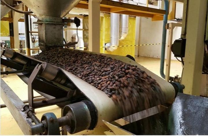 Les Multinationales exigeraient une baisse des prix des contrats d'exportation de cacao pour la saison 2024-2025, la vente menacée ? Les Multinationales exigeraient une baisse des prix des contrats d'exportation de cacao pour la saison 2024-2025, la vente menacée ?