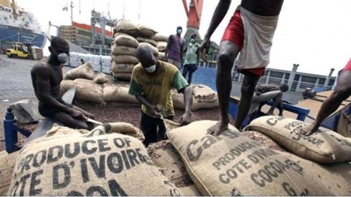 La plate-forme africaine pour le cacao durable dénonce la pratique des multinationales à forcer les prix vers le bas La plate-forme africaine pour le cacao durable dénonce la pratique des multinationales à forcer les prix vers le bas