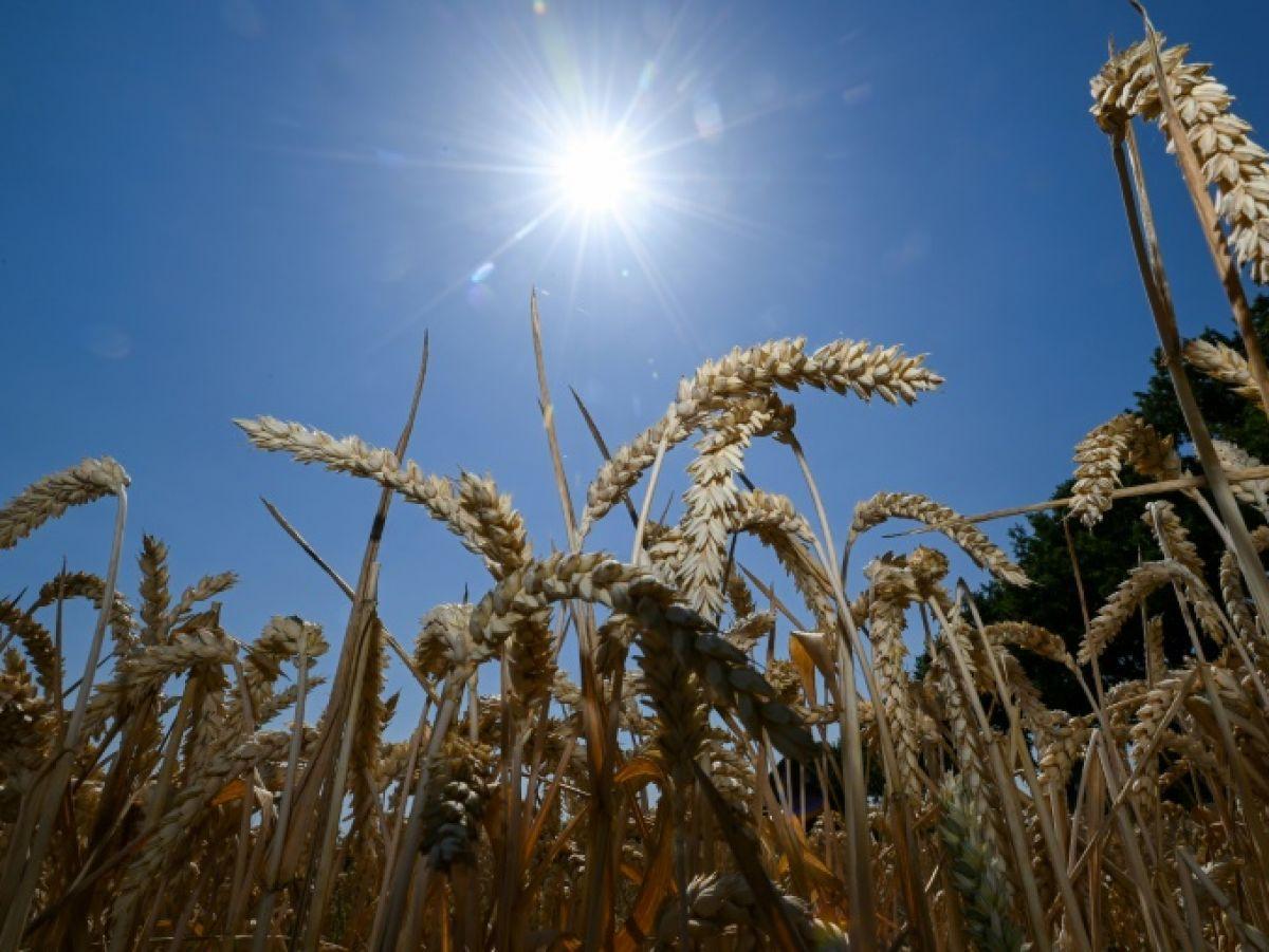Changement climatique : l'ONU pointe l'aide largement insuffisante des pays riches pour aider les autres Changement climatique : l'ONU pointe l'aide largement insuffisante des pays riches pour aider les autres