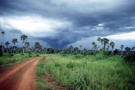 En Côte d’Ivoire, le changement climatique pourrait réduire le PIB réel de 13 % d'ici 2050
