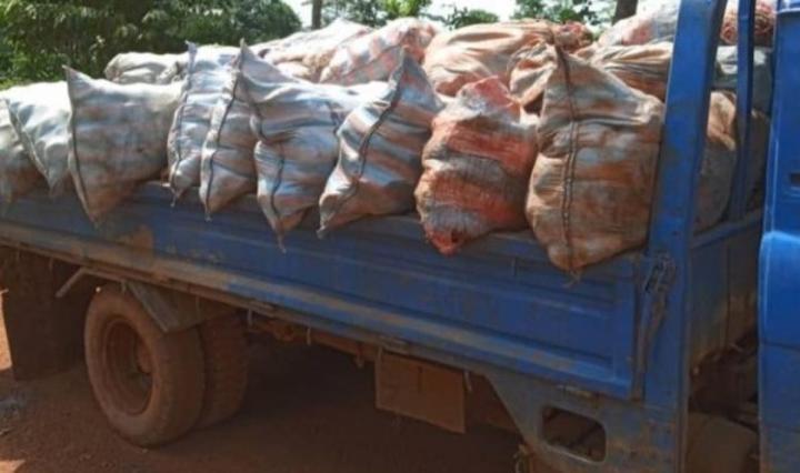 Fuite des produits agricoles, un camion chargé de fonds de tasse d'hévéa saisi par la Gendarmerie, des interpellations