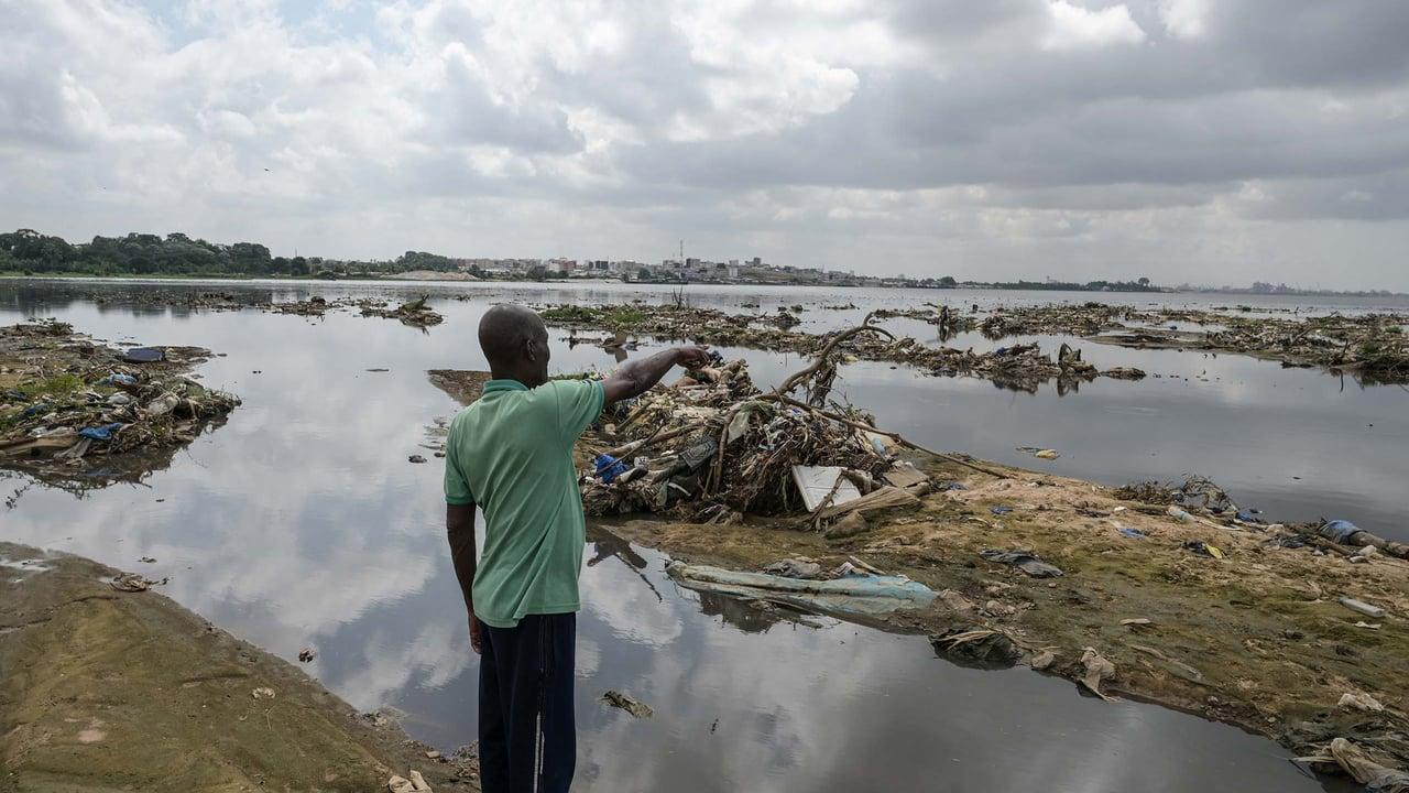 En Côte d’Ivoire, la mortalité des poissons de la lagune Ébrié inquiète