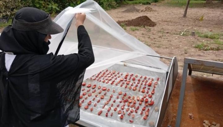 Poro, des paysans de Lataha outillés sur de nouvelles techniques agricoles par des ingénieurs agronomes anglais Poro, des paysans de Lataha outillés sur de nouvelles techniques agricoles par des ingénieurs agronomes anglais
