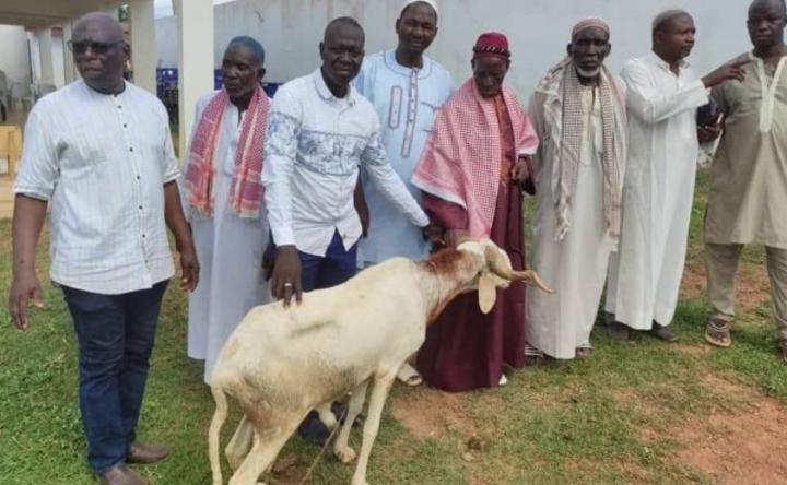 Tabaski 2024 à Dimbokro, une trentaine de béliers offerts aux guides religieux par le maire Adama Coulibaly Tabaski 2024 à Dimbokro, une trentaine de béliers offerts aux guides religieux par le maire Adama Coulibaly