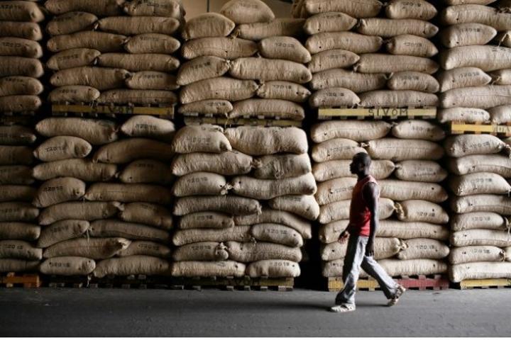 Le Conseil Café-Cacao réfute l'idée d'un sursis accordé aux entreprises ivoiriennes n'ayant pas exécuté leurs contrats Le Conseil Café-Cacao réfute l'idée d'un sursis accordé aux entreprises ivoiriennes n'ayant pas exécuté leurs contrats
