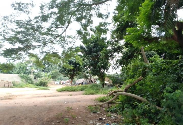 Bouaké, des propriétaires terriens accusent leur chef de village d'expropriation de leur parcelle de terrain, le président Ouattara interpellé Bouaké, des propriétaires terriens accusent leur chef de village d'expropriation de leur parcelle de terrain, le président Ouattara interpellé