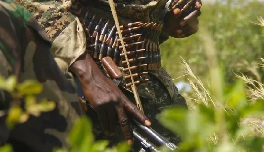 Des dirigeants africains appellent à faire taire les armes sur le continent lors du sommet du Comesa Des dirigeants africains appellent à faire taire les armes sur le continent lors du sommet du Comesa