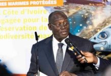 COP29, Tiémoko Koné présente le portefeuille de projets verts ivoiriens à Bakou COP29, Tiémoko Koné présente le portefeuille de projets verts ivoiriens à Bakou