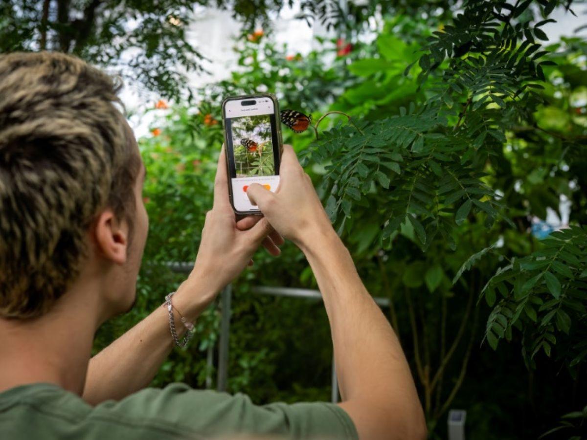 L Intelligence Artificielle Au Secours Des Insectes C Te D Ivoire