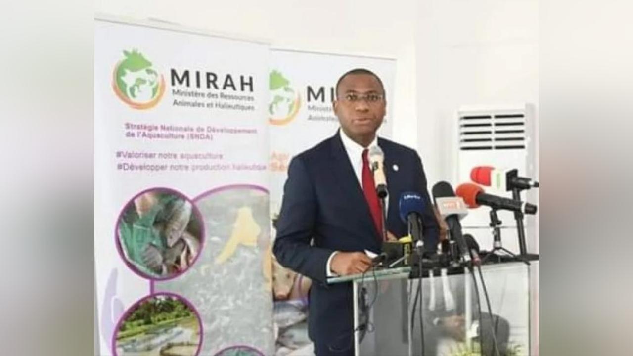 MIRAH, les Halieutes pestent contre la suspension de leur forfait de déplacement par Sidi Touré et appellent à l'intervention de Ouattara MIRAH, les Halieutes pestent contre la suspension de leur forfait de déplacement par Sidi Touré et appellent à l'intervention de Ouattara