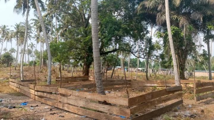 Filière bétail, les marchands s'offrent deux sites dont un de 16 hectares à Grand-Bassam pour leurs activités Filière bétail, les marchands s'offrent deux sites dont un de 16 hectares à Grand-Bassam pour leurs activités